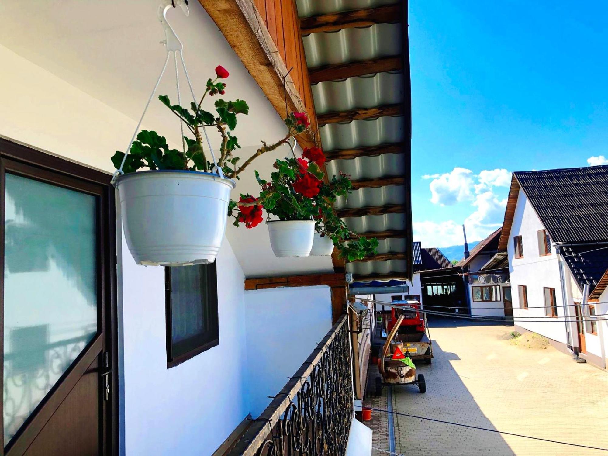 Casa Paul Hotel Viseu de Sus Exterior photo