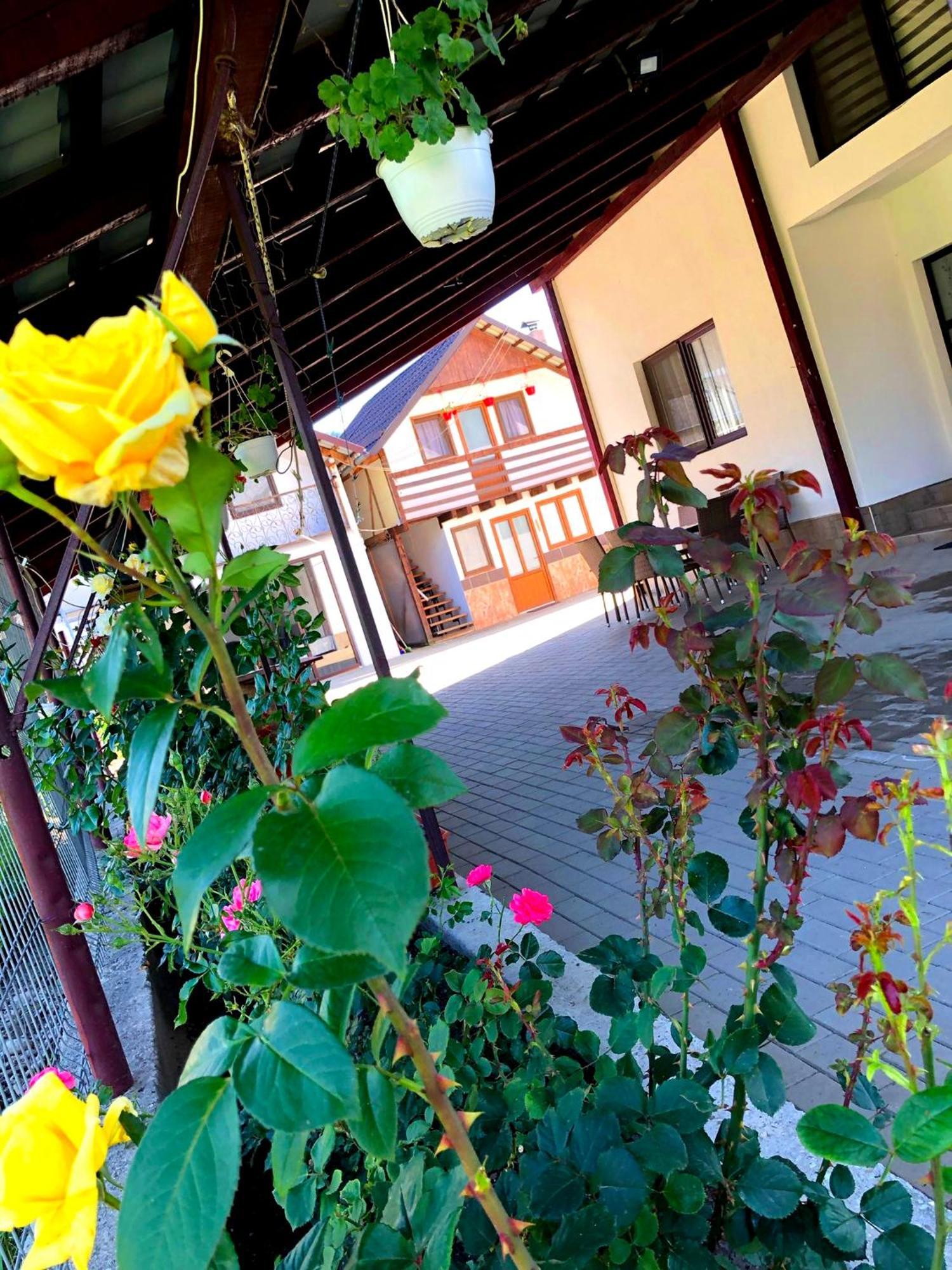 Casa Paul Hotel Viseu de Sus Exterior photo